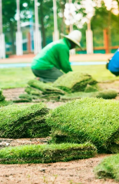 workers-are-planting-grass